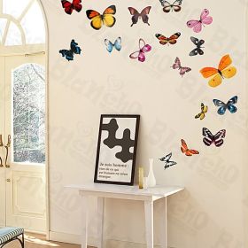 Butterflies - Wall Decals Stickers Appliques Home Decor