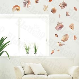 Seashells - Large Wall Decals Stickers Appliques Home Decor