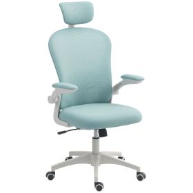 Office Chair, Mesh Computer Desk Chair with Adjustable Headrest, 4D Lumbar Support, Flip-up Arm, Light Green