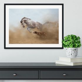 Lusitanian horse is playing with the Rhodesian Ridgeback dog Framed Print (Color: Black/With White Edging, size: 48" x 32" / 120cm x 80cm (approx))