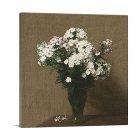 Phlox 1888 (Type: Standard Framed Canvas Print, size: 16" x 16" / 42cm x 42cm (approx))