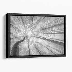 Spring Crown Of Trees Floating Framed Canvas (Color: Black, size: 40" x 26" / 100cm x 65cm (approx))